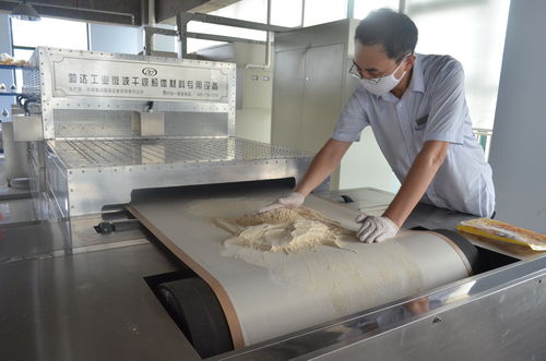 微波干燥機設(shè)備在食品加工業(yè)的應用特點